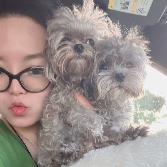 Meet your Posher, Nancy - Picture 1 of 1